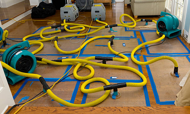 Professional Water Extraction technician working in Emerson, NJ